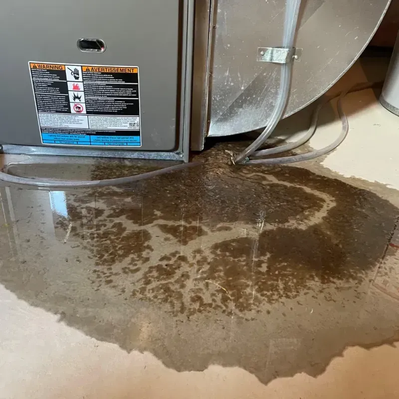 Appliance Leak Cleanup in Gentry, AR